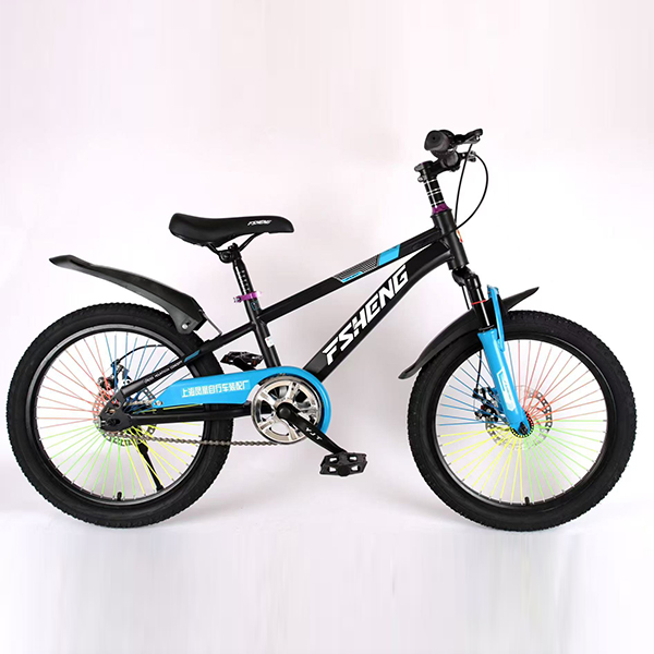 Mountain Bicycles
