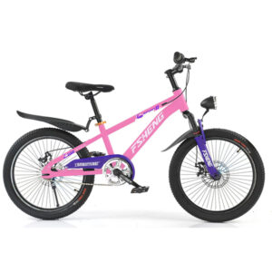 Mountain Bicycles
