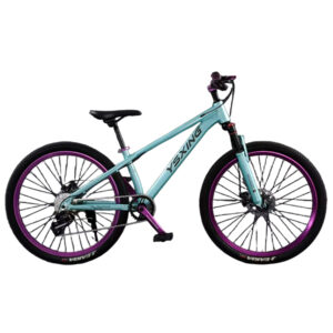 Mountain Bicycles