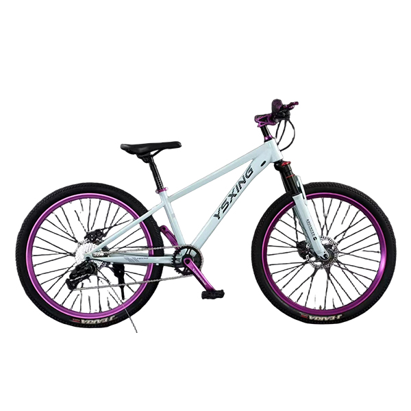Mountain Bicycles