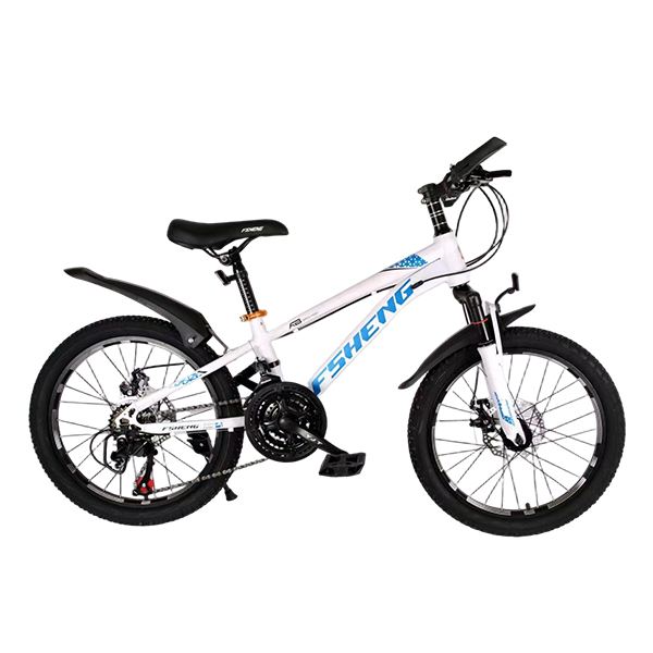 Mountain Bicycles