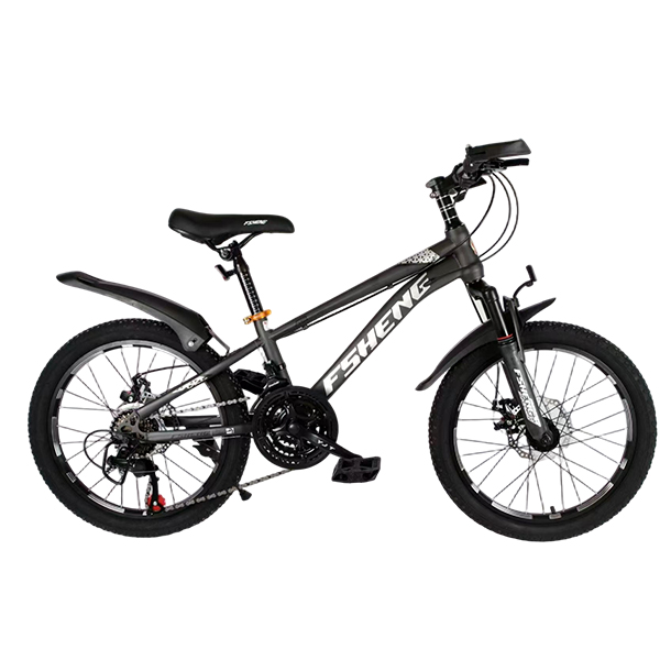 Mountain Bicycles