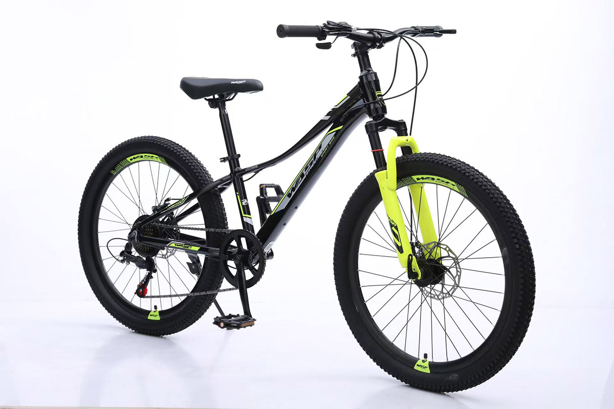 Mountain Bicycles