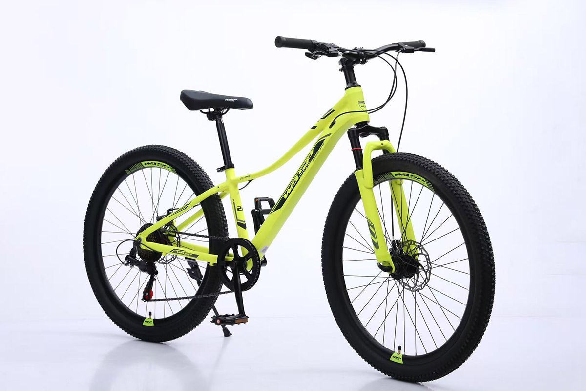 Mountain Bicycles
