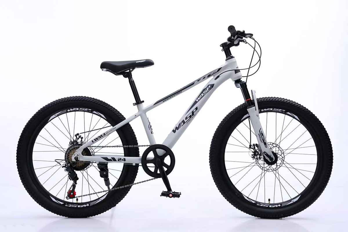 Mountain Bicycles