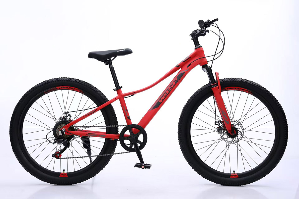 Mountain Bicycles