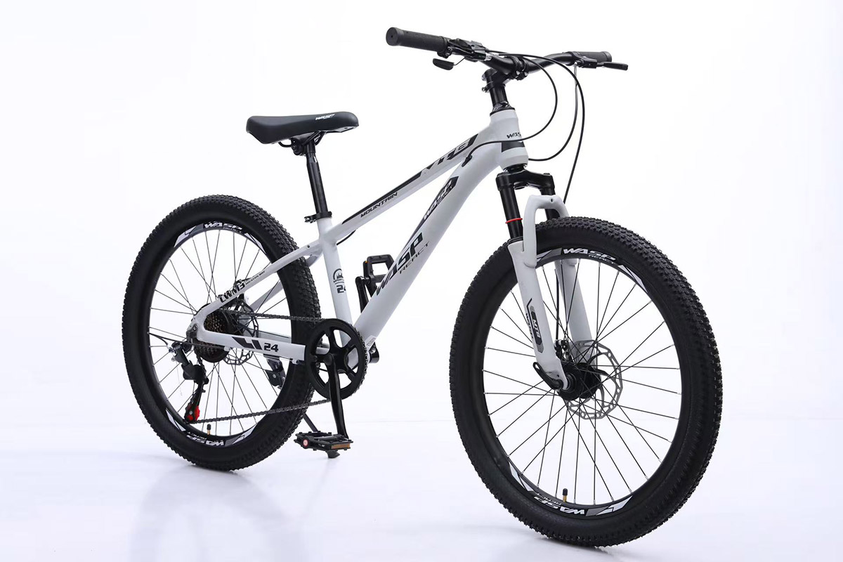 Mountain Bicycles