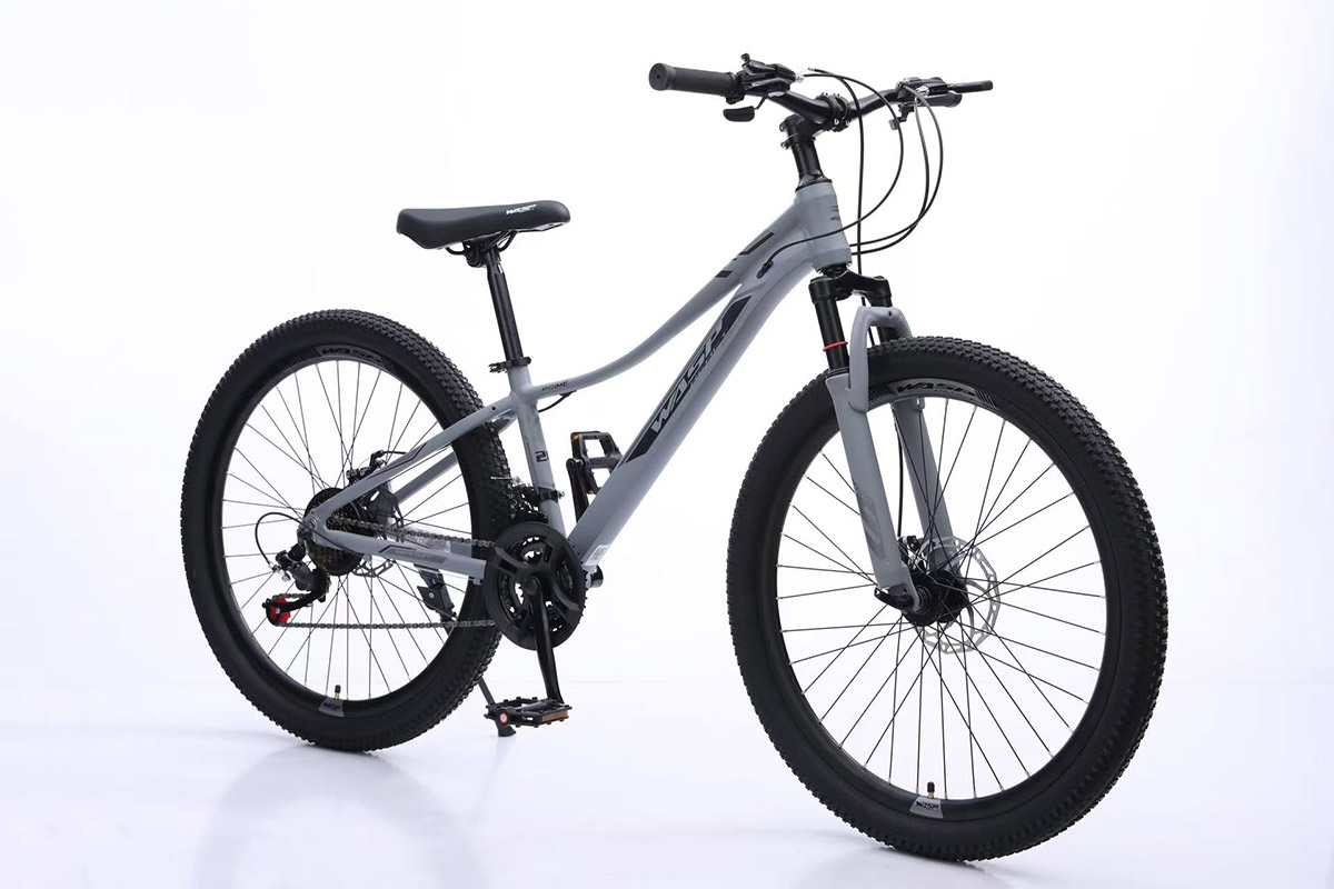 Mountain Bicycles