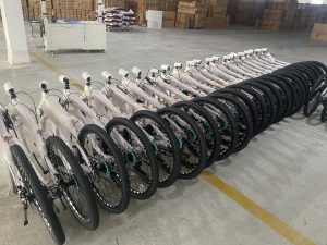 Mixed Bicycle Container Orders for Importers
